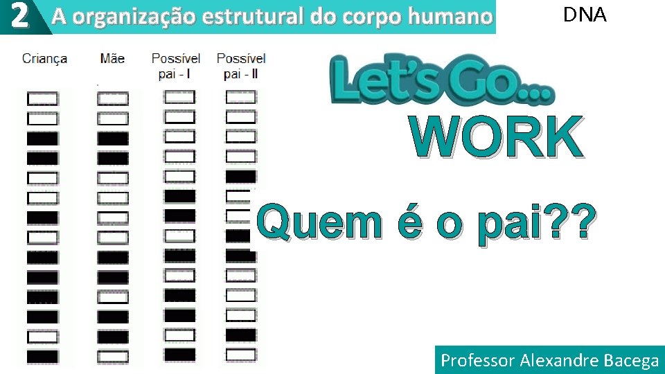 2 A organização estrutural do corpo humano DNA WORK Quem é o pai? ?