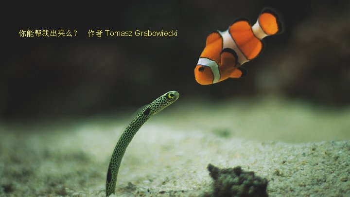 你能帮我出来么？ 作者 Tomasz Grabowiecki 
