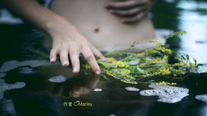 作者 C-Marley 