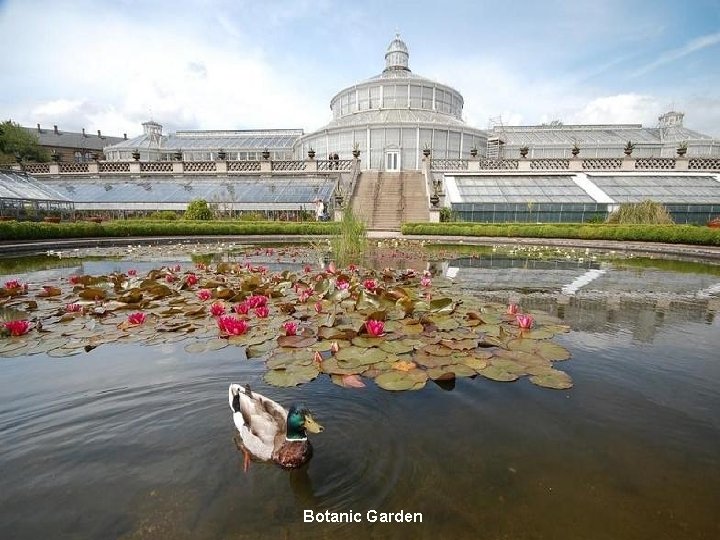 Botanic Garden 