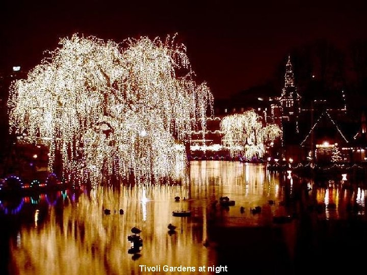Tivoli Gardens at night 