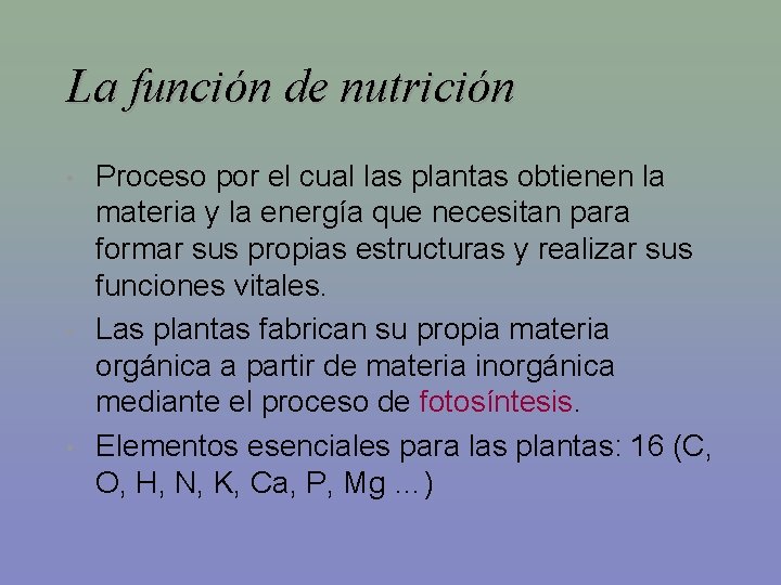 La función de nutrición • • • Proceso por el cual las plantas obtienen