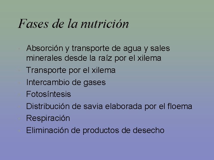 Fases de la nutrición • • Absorción y transporte de agua y sales minerales