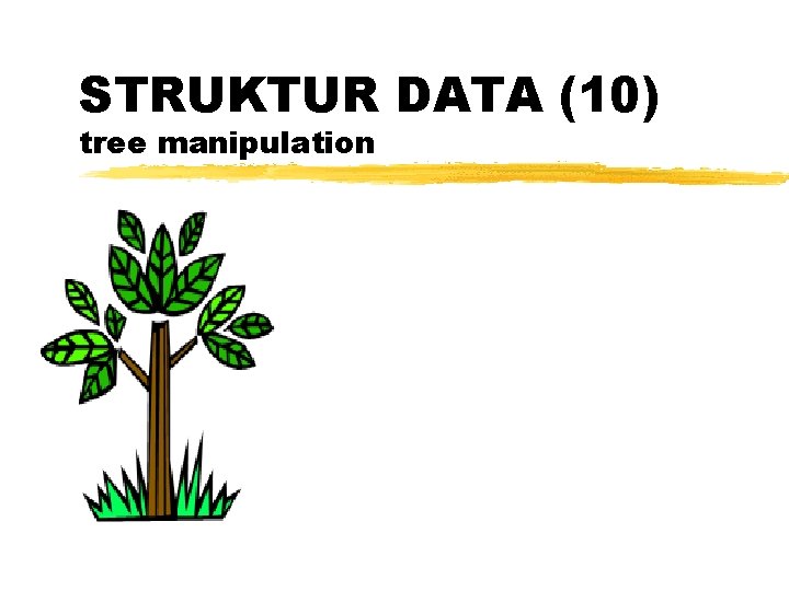 STRUKTUR DATA (10) tree manipulation 