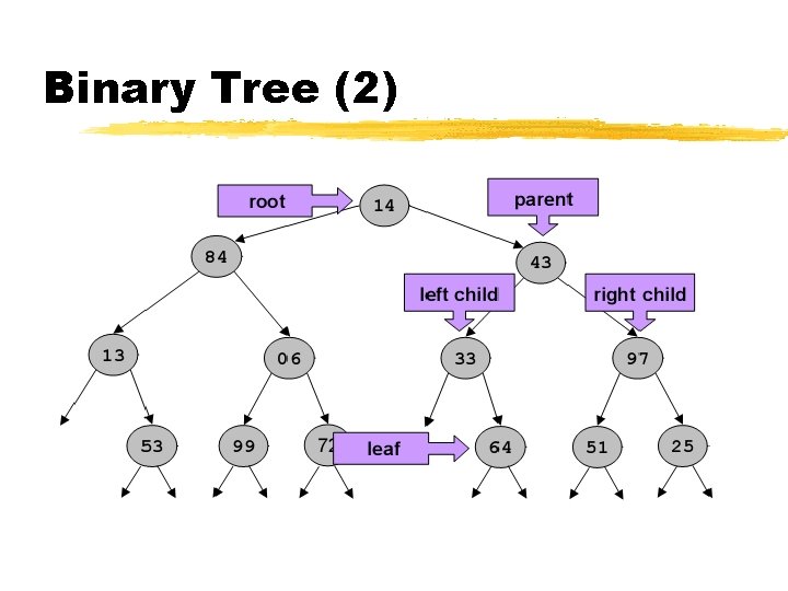 Binary Tree (2) 