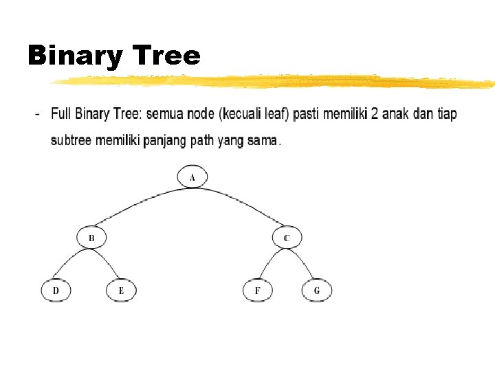 Binary Tree 