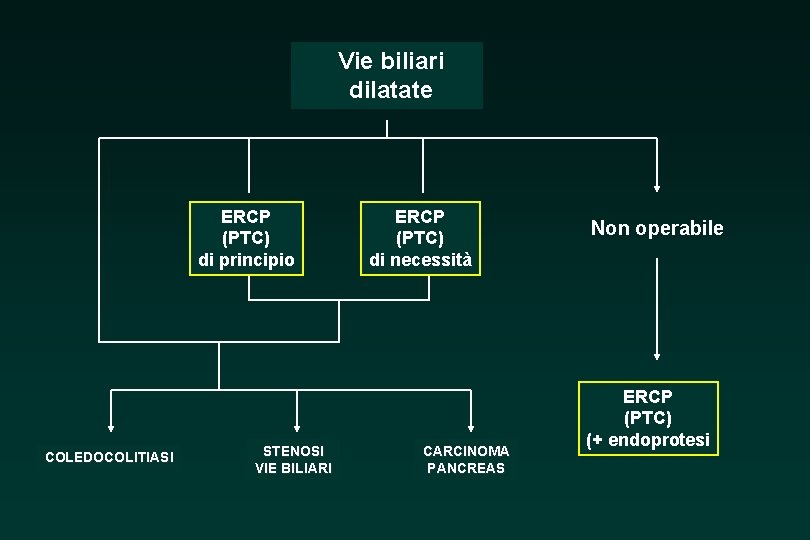 Vie biliari dilatate ERCP (PTC) di principio COLEDOCOLITIASI STENOSI VIE BILIARI ERCP (PTC) di