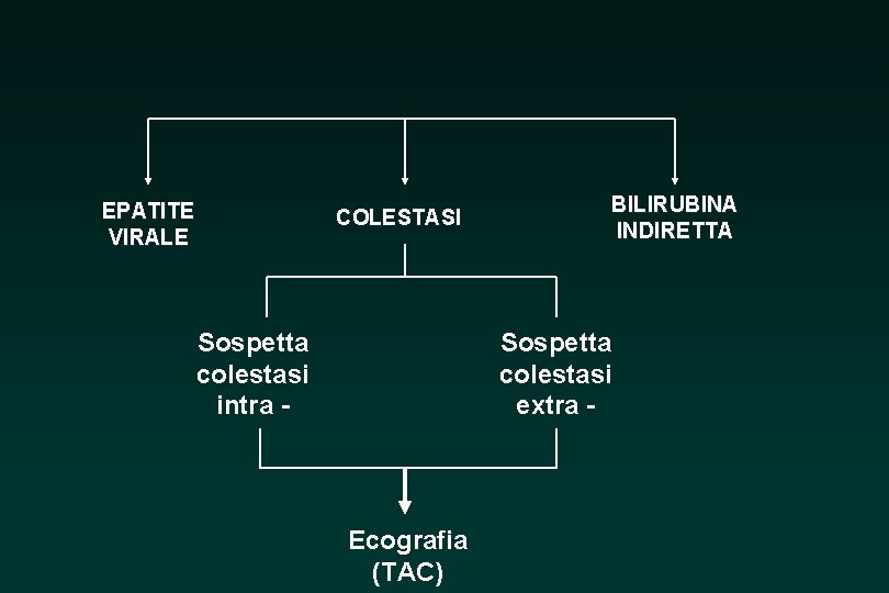 EPATITE VIRALE COLESTASI Sospetta colestasi intra - BILIRUBINA INDIRETTA Sospetta colestasi extra - Ecografia