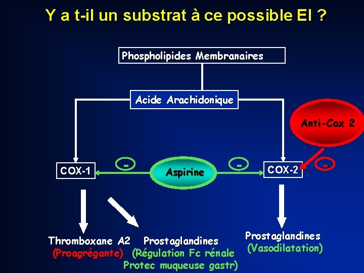 Y a t-il un substrat à ce possible EI ? Phospholipides Membranaires Acide Arachidonique