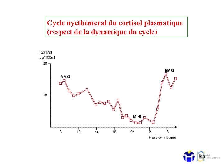 Cycle nycthéméral du cortisol plasmatique (respect de la dynamique du cycle) 55 