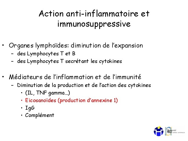 Action anti-inflammatoire et immunosuppressive • Organes lymphoïdes: diminution de l’expansion – des Lymphocytes T
