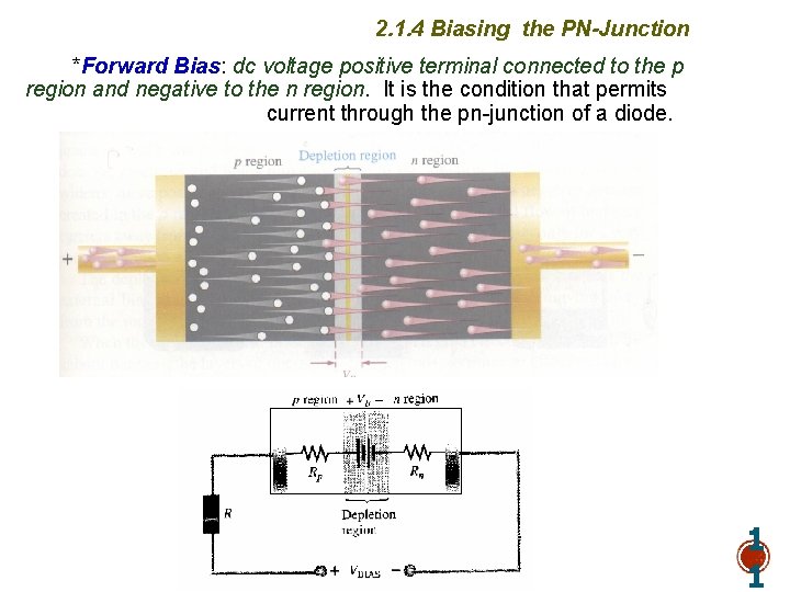 2. 1. 4 Biasing the PN-Junction *Forward Bias: dc voltage positive terminal connected to