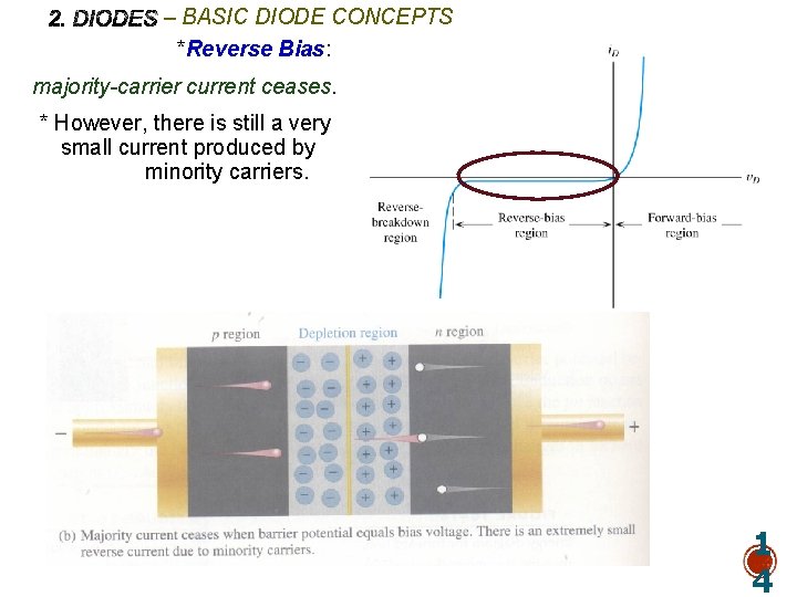 – BASIC DIODE CONCEPTS *Reverse Bias: majority-carrier current ceases. * However, there is still