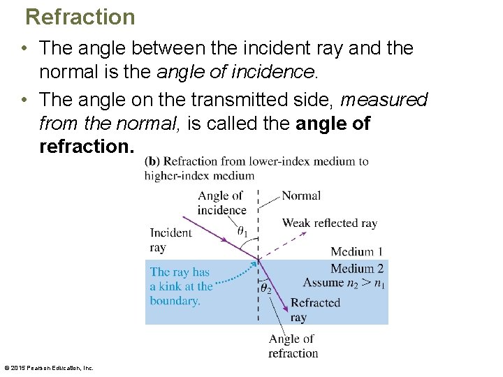 Refraction • The angle between the incident ray and the normal is the angle