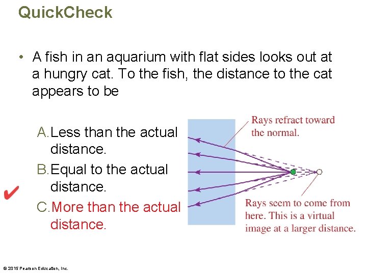 Quick. Check • A fish in an aquarium with flat sides looks out at