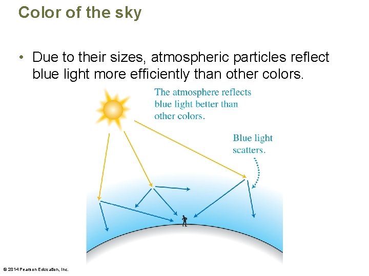 Color of the sky • Due to their sizes, atmospheric particles reflect blue light