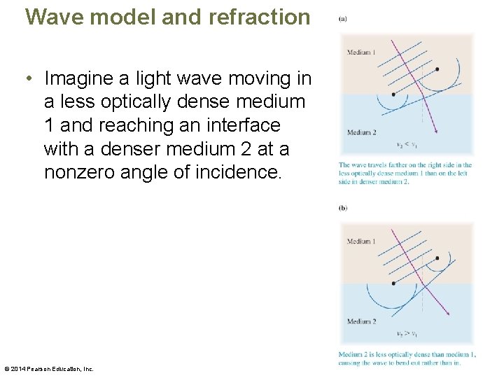 Wave model and refraction • Imagine a light wave moving in a less optically