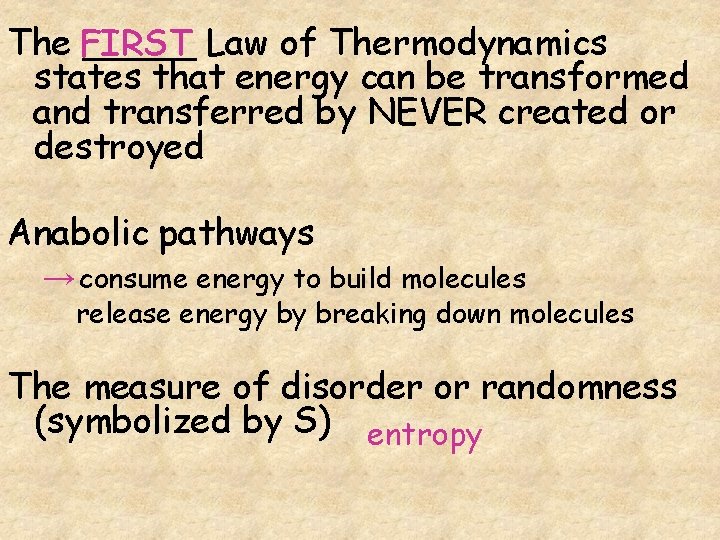Ap Biology Chapter 8 Metabolism The First Law
