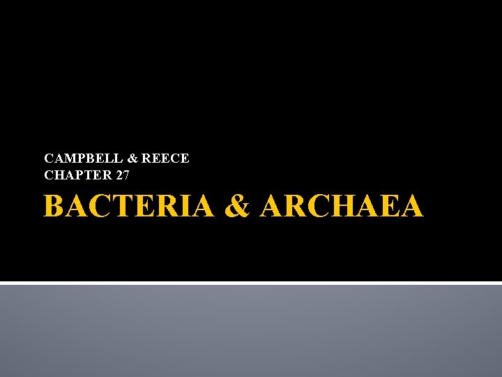 CAMPBELL & REECE CHAPTER 27 BACTERIA & ARCHAEA 