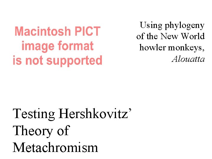 Using phylogeny of the New World howler monkeys, Alouatta Testing Hershkovitz’ Theory of Metachromism