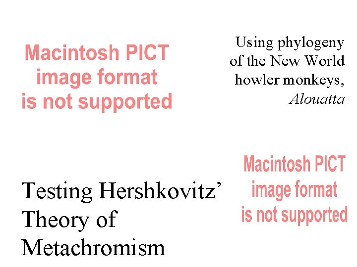 Using phylogeny of the New World howler monkeys, Alouatta Testing Hershkovitz’ Theory of Metachromism