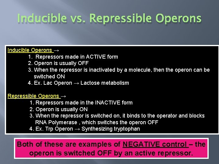 Inducible vs. Repressible Operons Inducible Operons → 1. Repressors made in ACTIVE form 2.