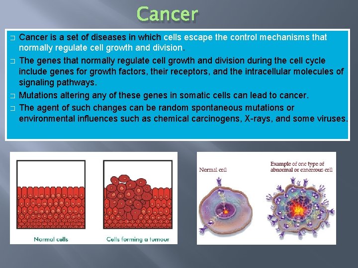 Cancer � � Cancer is a set of diseases in which cells escape the