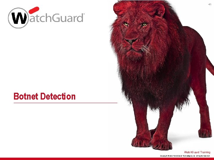 41 Botnet Detection Watch. Guard Training Copyright © 2016 Watch. Guard Technologies, Inc. All