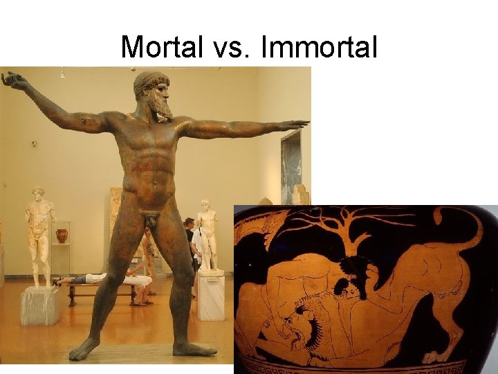 Mortal vs. Immortal 