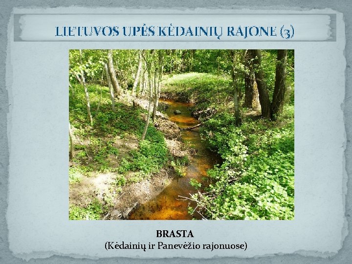 LIETUVOS UPĖS KĖDAINIŲ RAJONE (3) BRASTA (Kėdainių ir Panevėžio rajonuose) 