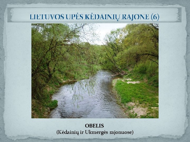 LIETUVOS UPĖS KĖDAINIŲ RAJONE (6) OBELIS (Kėdainių ir Ukmergės rajonuose) 