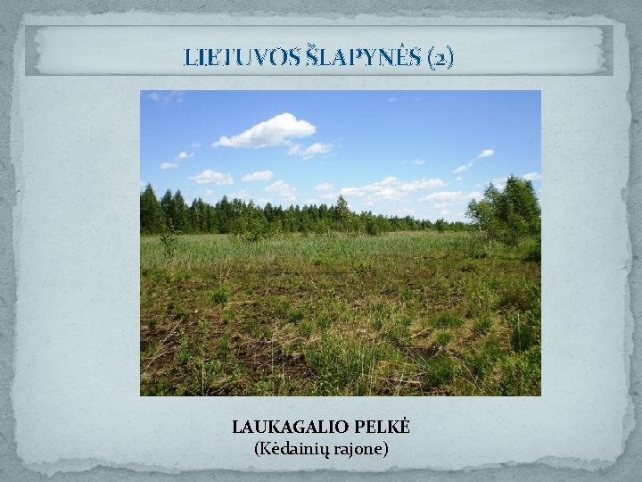 LIETUVOS ŠLAPYNĖS (2) LAUKAGALIO PELKĖ (Kėdainių rajone) 