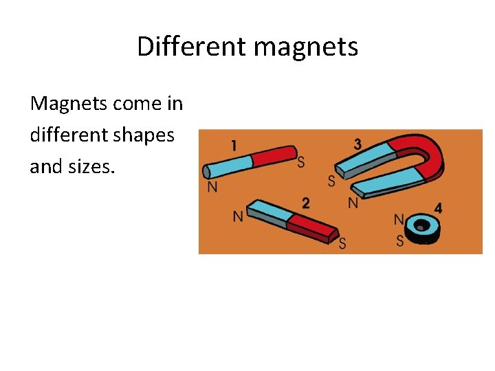 Different magnets Magnets come in different shapes and sizes. 