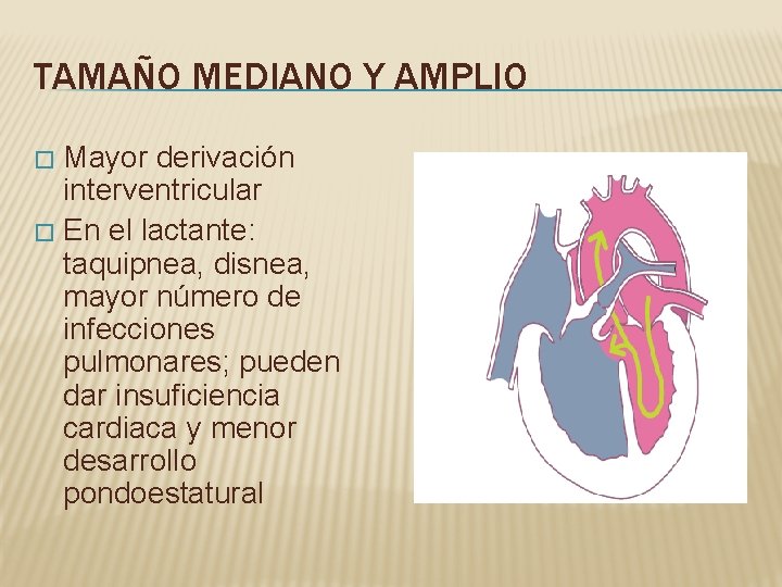 TAMAÑO MEDIANO Y AMPLIO Mayor derivación interventricular � En el lactante: taquipnea, disnea, mayor