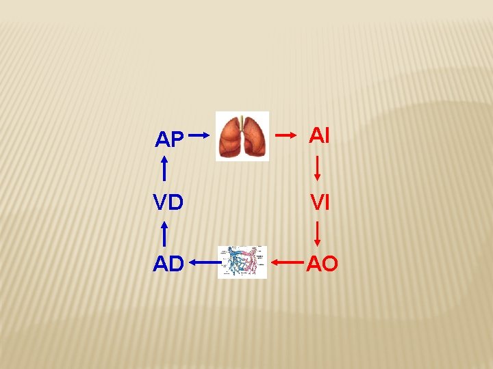 AP AI VD VI AD AO 