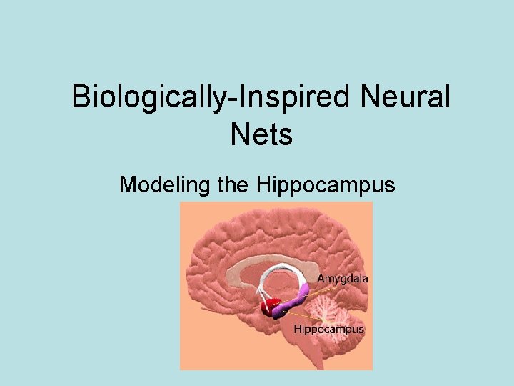 Biologically-Inspired Neural Nets Modeling the Hippocampus 