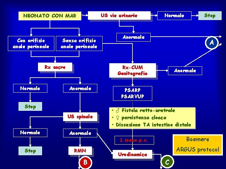 US vie urinarie NEONATO CON MAR Con orifizio anale perineale Senza orifizio anale perineale