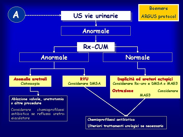 A Boemers US vie urinarie ARGUS protocol Anormale Rx-CUM Anormale Anomalie uretrali Cistoscopia Normale