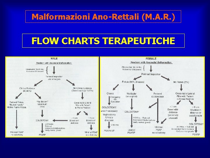 Malformazioni Ano-Rettali (M. A. R. ) FLOW CHARTS TERAPEUTICHE 