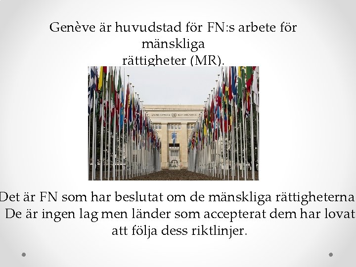Genève är huvudstad för FN: s arbete för mänskliga rättigheter (MR). Det är FN