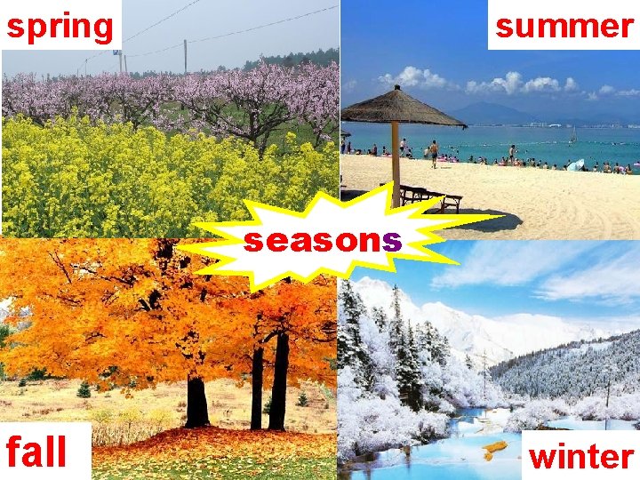 spring summer seasons fall winter 