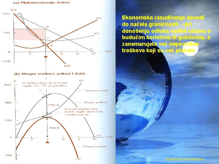 Ekonomsko rasuđivanje dovodi do načela graničnosti - pri donošenju odluka vodite računa o budućim