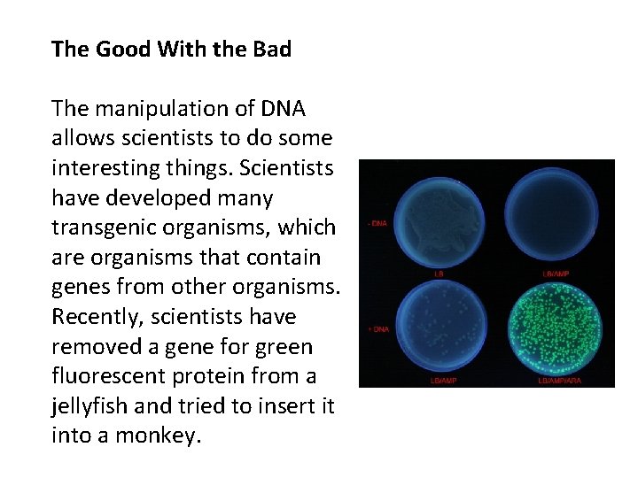 Interest Grabber The Good With the Bad Section 13 -4 The manipulation of DNA