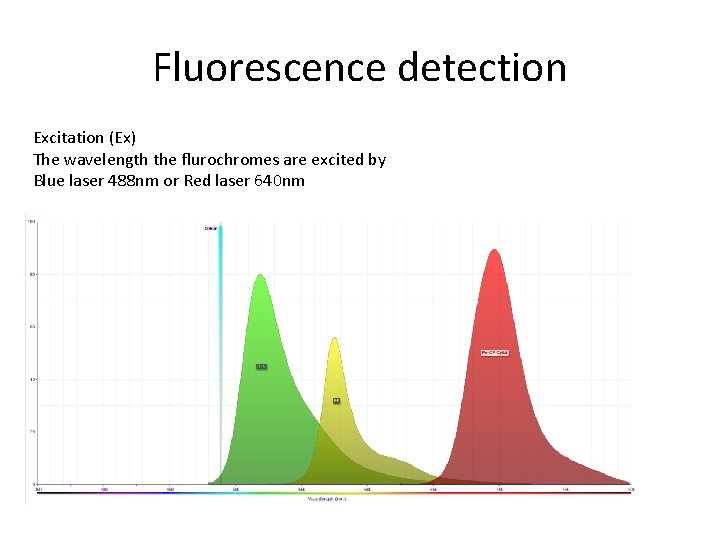 Fluorescence detection Excitation (Ex) The wavelength the flurochromes are excited by Blue laser 488 Fluorescence detection Excitation (Ex) The wavelength the flurochromes are excited by Blue laser 488