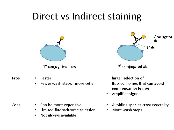 Direct vs Indirect staining 2° conjugated ab 1° conjugated abs 2° conjugated abs Pros Direct vs Indirect staining 2° conjugated ab 1° conjugated abs 2° conjugated abs Pros
