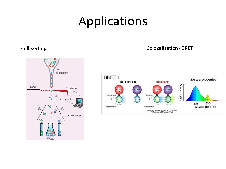 Applications Cell sorting Colocalisation- BRET Applications Cell sorting Colocalisation- BRET