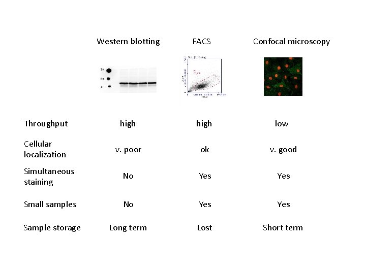 Western blotting FACS Confocal microscopy Throughput high low Cellular localization v. poor ok v. Western blotting FACS Confocal microscopy Throughput high low Cellular localization v. poor ok v.