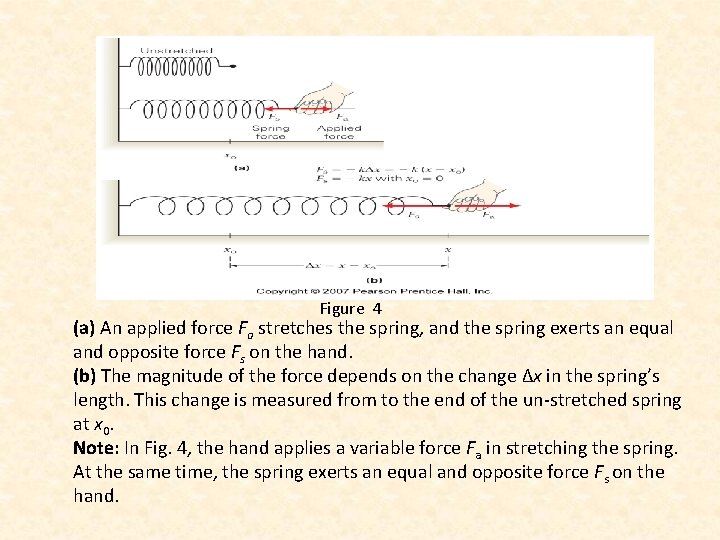 Figure 4 (a) An applied force Fa stretches the spring, and the spring exerts