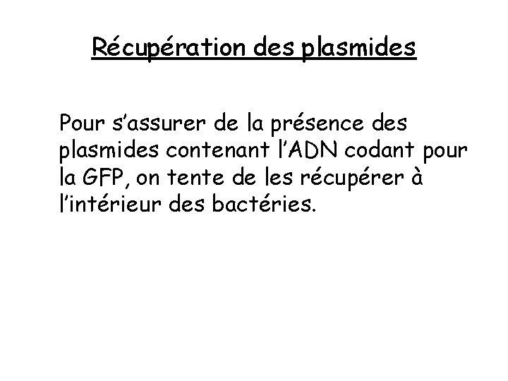 Récupération des plasmides Pour s’assurer de la présence des plasmides contenant l’ADN codant pour