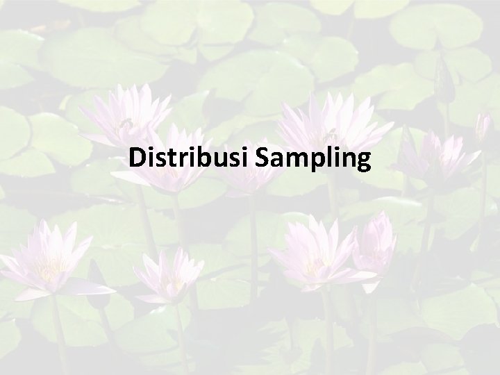 Distribusi Sampling 